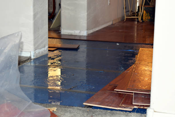 Professional Basement Flood Cleanup technician working in Richland, PA